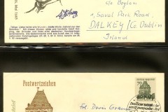 12-Klein